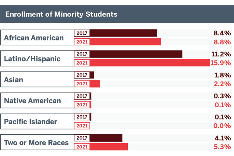 Bar graphic showing  IUSB enrollment of minority students.